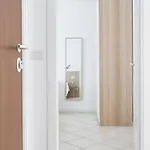 1 شقة *